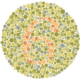 Color Blindness Test