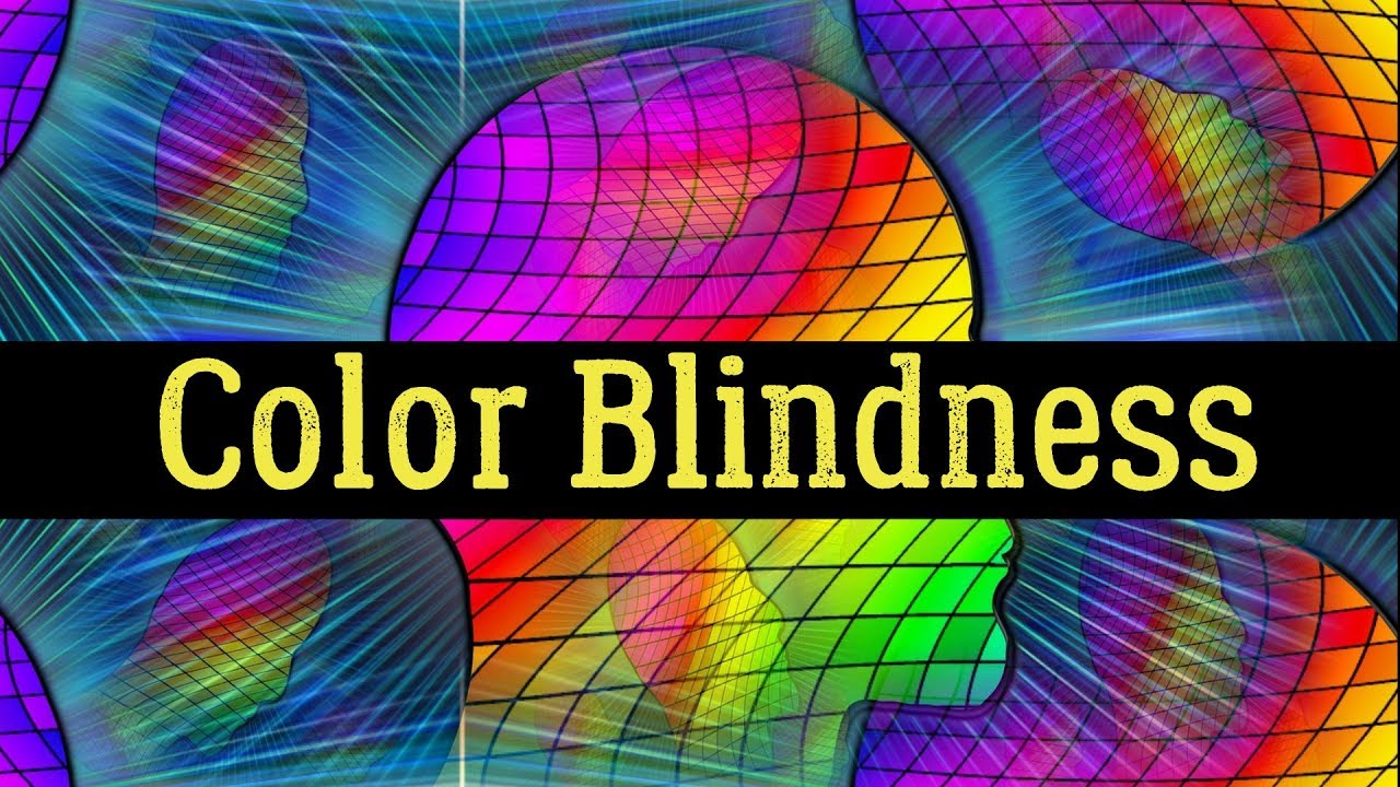 Color Blind Test: 🌈 Can You Pass A Color Blind Test?