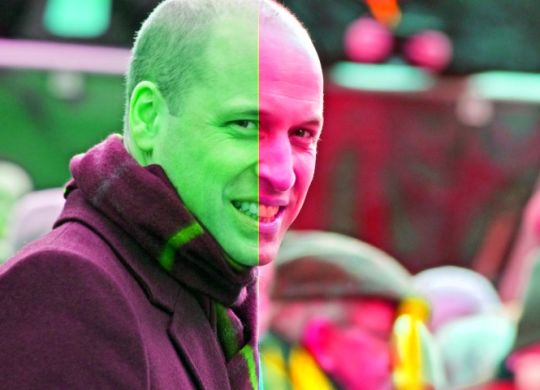 Prince William's Colorblindness